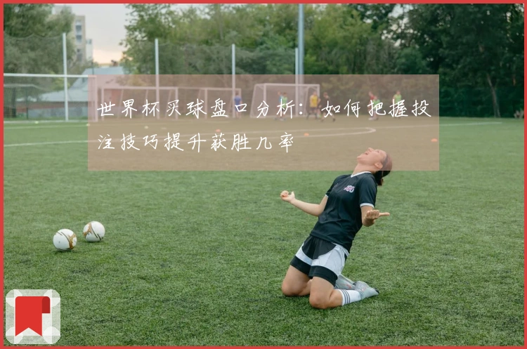 世界杯买球盘口分析：如何把握投注技巧提升获胜几率