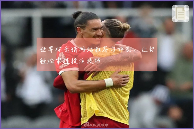 世界杯竞猜网站推荐与评测，让你轻松掌握投注技巧