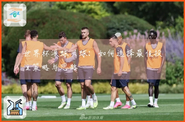 世界杯滚球买球：如何选择最佳投注策略与思路