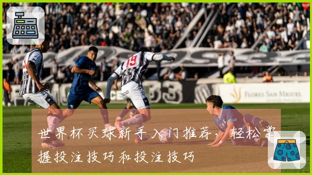世界杯买球新手入门推荐，轻松掌握投注技巧和投注技巧