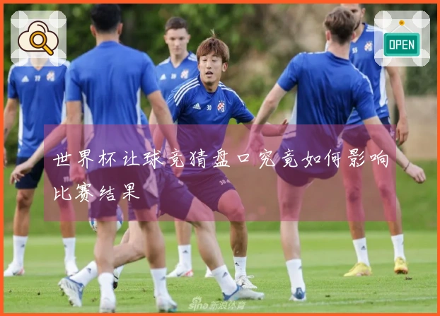 世界杯让球竞猜盘口究竟如何影响比赛结果