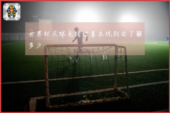 世界杯买球竞猜的基本规则你了解多少