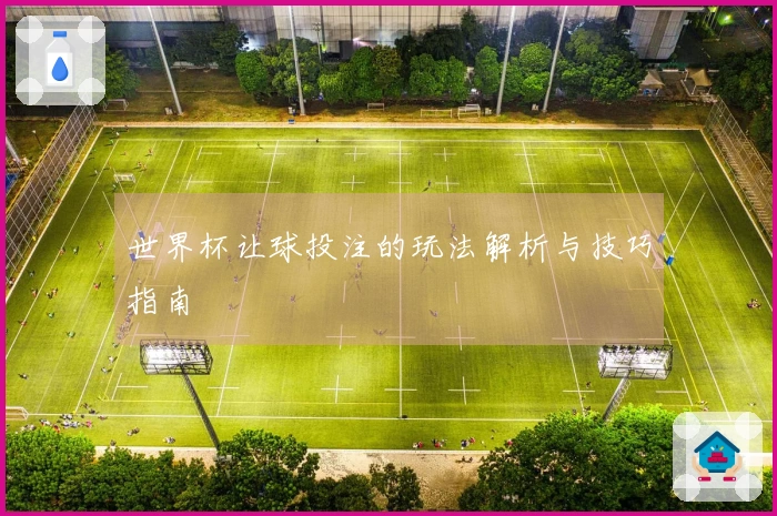 世界杯让球投注的玩法解析与技巧指南