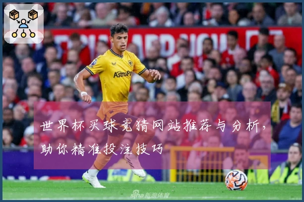世界杯买球竞猜网站推荐与分析，助你精准投注技巧