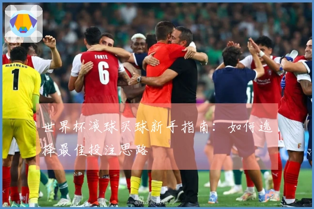 世界杯滚球买球新手指南：如何选择最佳投注思路