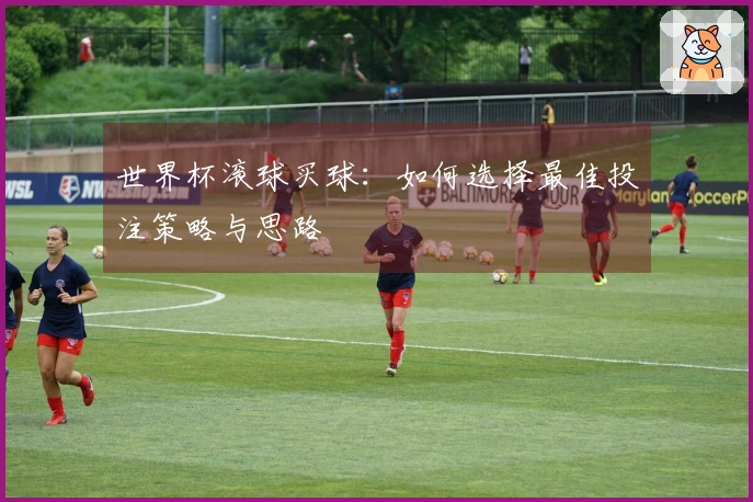 世界杯滚球买球：如何选择最佳投注策略与思路
