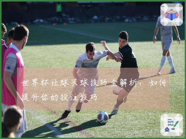 世界杯让球买球技巧全解析，如何提升你的投注技巧